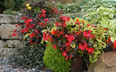 spring flower container