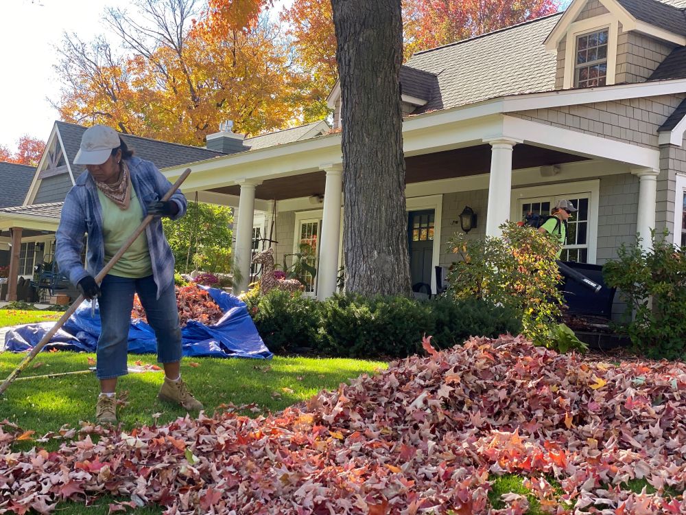 Minnetonka Garden Maintenance