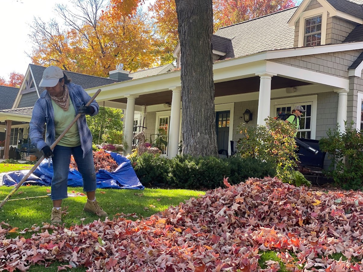 Worker Raking Leaves