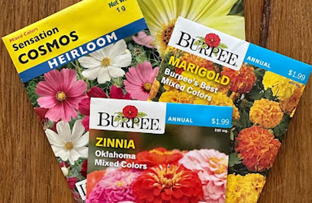 Indoor Seed Starting