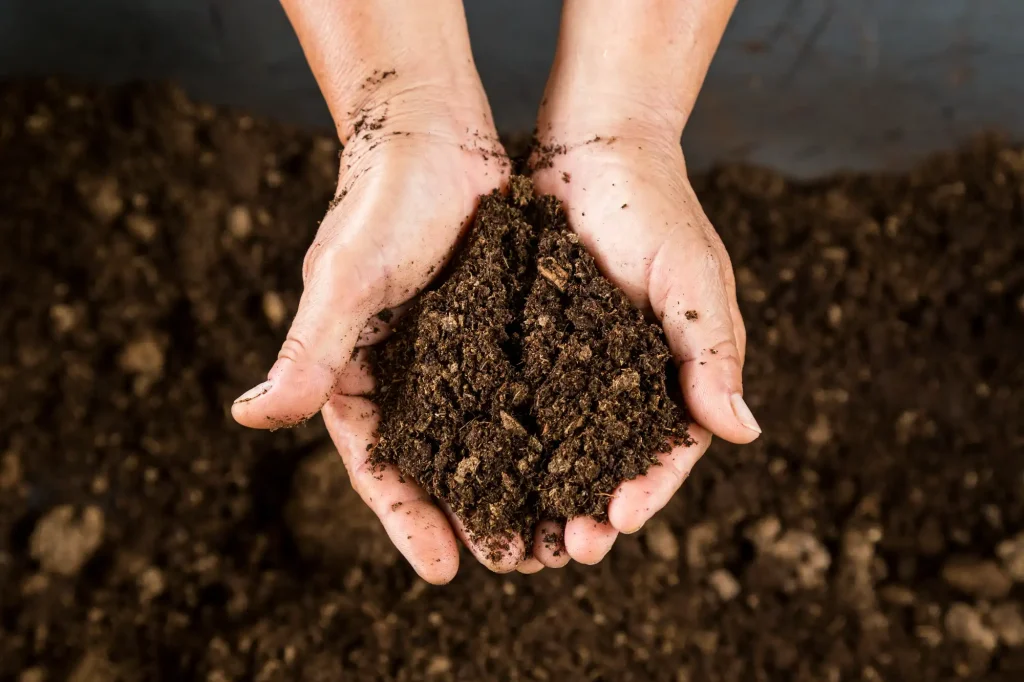 Close up of hands holding soil